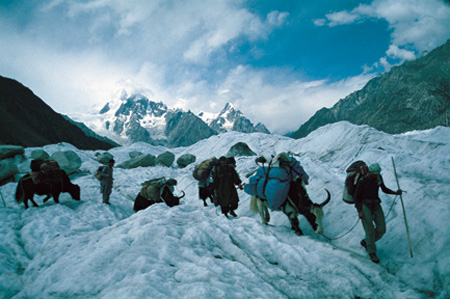 Shimshal Pamir & Minglik Sar Wilderness